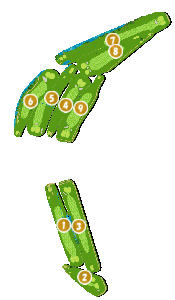 コース画像