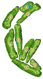 コース画像