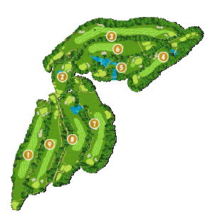 コース画像