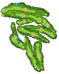 コース画像
