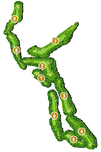 コース画像