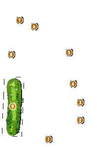 コース画像