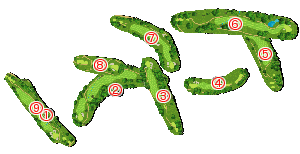 コース画像