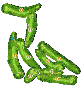 コース画像