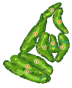 コース画像
