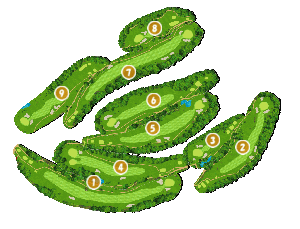 コース画像