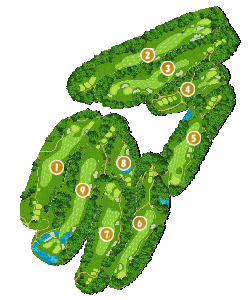 コース画像