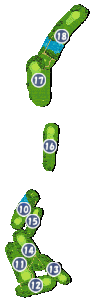 コース画像