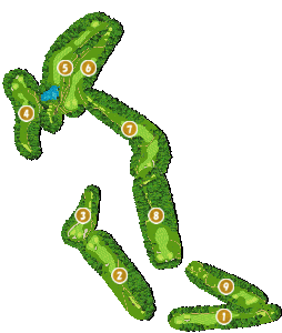 コース画像