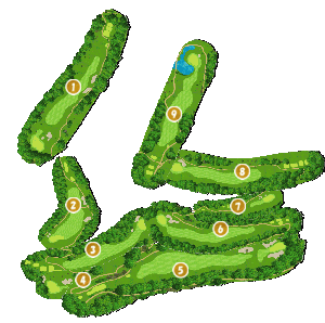 コース画像