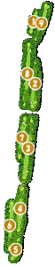 コース画像