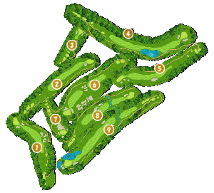 コース画像