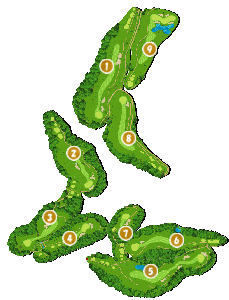 コース画像