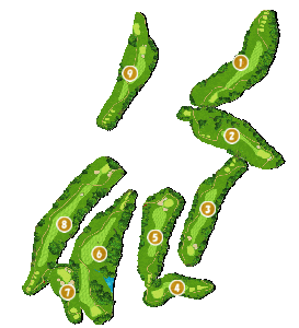コース画像