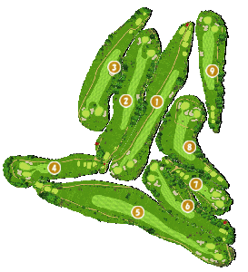 コース画像