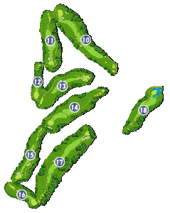 コース画像