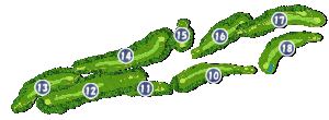 コース画像