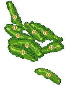 コース画像