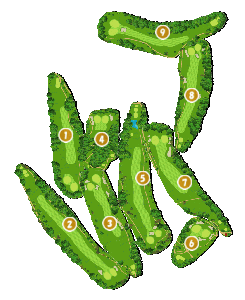 コース画像