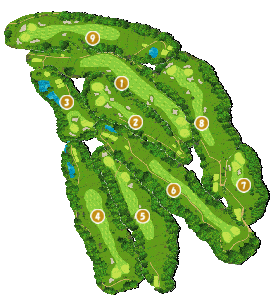 コース画像