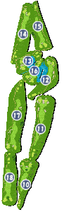 コース画像