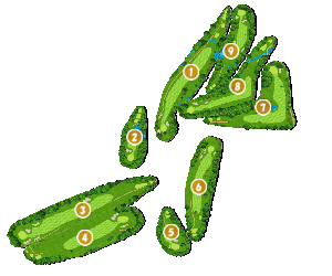 コース画像