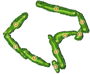 コース画像