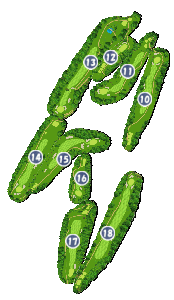 コース画像