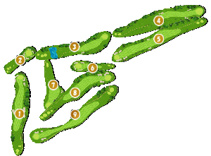 コース画像