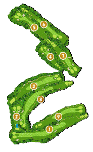 コース画像