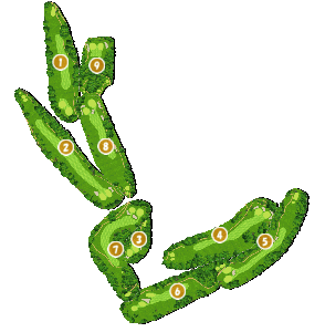 コース画像