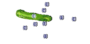 コース画像