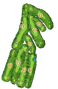 コース画像
