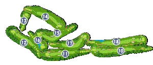 コース画像