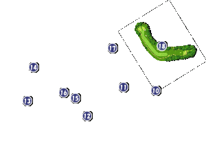 コース画像