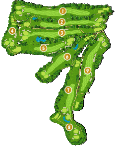 コース画像