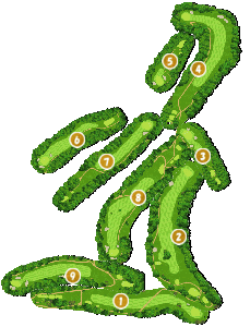 コース画像