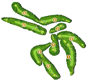 コース画像
