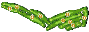 コース画像