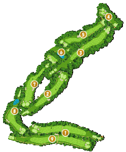 コース画像