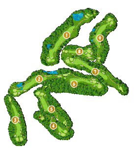 コース画像