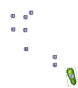コース画像
