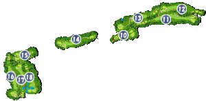 コース画像