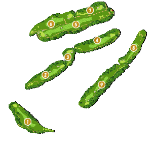 コース画像