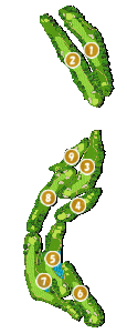 コース画像