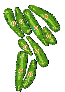 コース画像