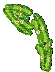 コース画像