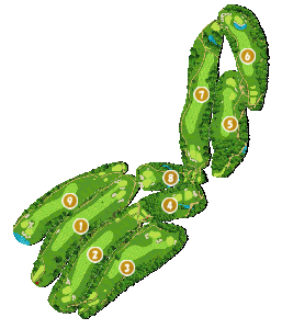 コース画像
