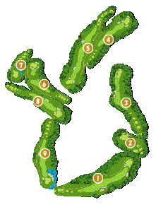 コース画像