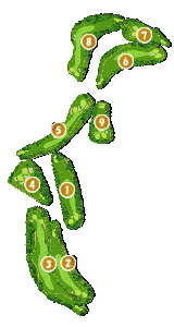 コース画像